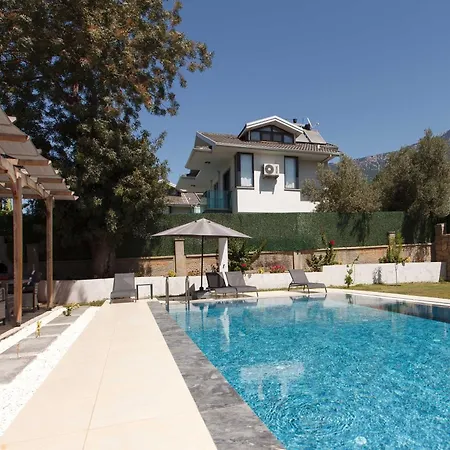 Cesur فيلة فتحية